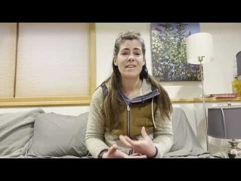 Understanding Different Collars and their Uses for Dogs