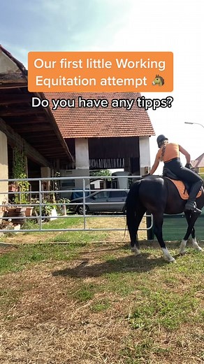 Our first steps in Working Equitation 🤠 #workingequitation #horsegirl #fypシ