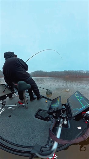 Top Lures for Crappie Fishing in Illinois