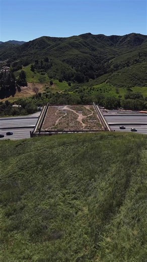 California taxpayers just got fleeced again. The so-called “Annenberg Wildlife Crossing” in Agoura Hills is a $114 million boondoggle spanning 10 lanes of freeway and it’s still not even finished, years behind schedule and massively over budget.Compare that to a similar wildlife overpass in Colorado built for just $15 million, or others in Utah for as little as $2–6 million. But in deep-blue California, government waste is basically the business model. $114 million of your hard-earned tax dollar