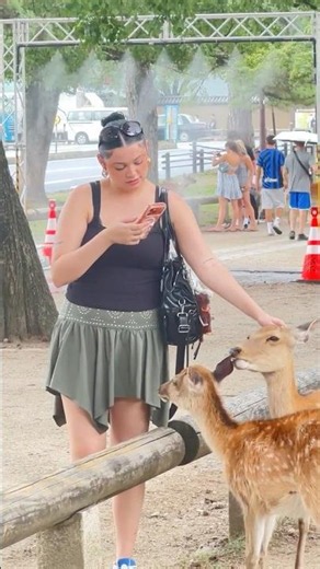 🌏 世界で最も愛される鹿は奈良、日本にいます！🦌❤️ #zoo
