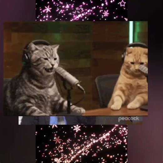 happy #memes🤗🌟