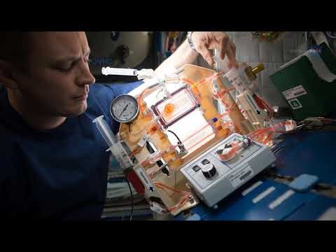 Inside ISS Technology: How NASA Develops the Future of Space Exploration