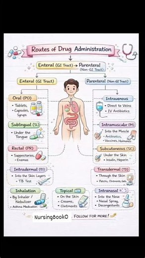 Routes of Drug Administration: Oral, IV, IM, SC & More #medicaleducation #nursingstudents #nurse