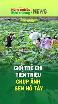 Giới Trẻ Chi Tiền Triệu Chụp Ảnh Sen Hồ Tây: Có Gì Mà Hot Đến Vậy?