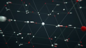 Incomm-Network-Experience