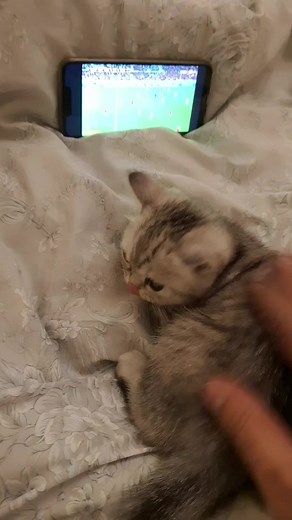 Watching Soccer on Smartphone and TV: How to Enjoy Both