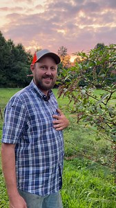 Poke berries are for arthritis! | Micah D McGie