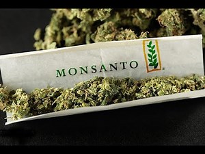 "The World According To Monsanto" - Full Documentary (2008) 🌽