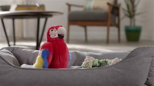 Lowe's TV Spot, 'Parrot'