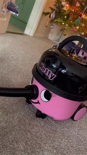 Discovering the Charm of the Hetty Hoover