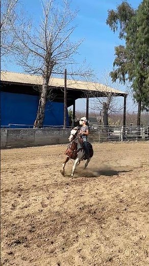 Breakaway Roping Practice