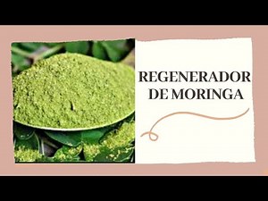 Como hacer EXTRACTO de MORINGA (hecho de la manera más fácil y rápida)// el mejor aceite regenerador