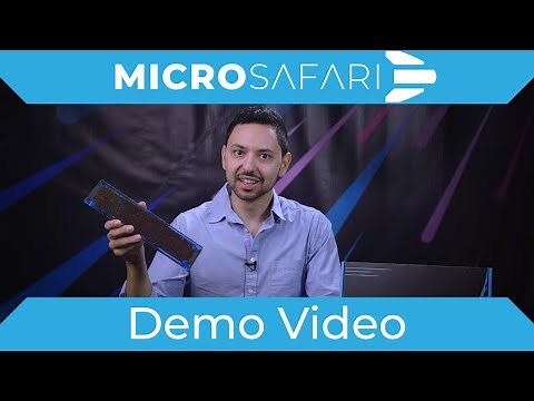 Micro Safari Live Micro-Ecosystem Kit