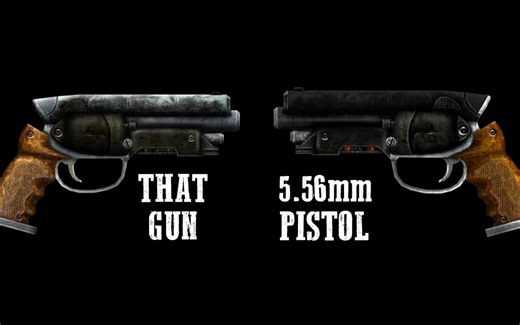 【中字】辐射：新维加斯枪械指南 That Gun