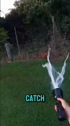 Effortless Chicken Catching Made Simple With Net Gun.