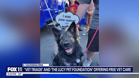 The Lucy Pet Foundation offering free vet care