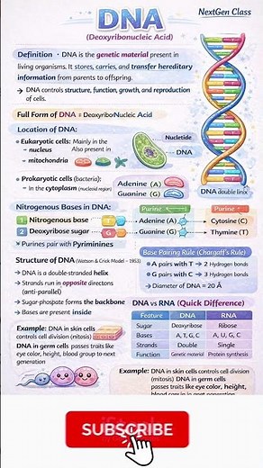 DNA | Structure, Function & Importance | Genetics Made Easy