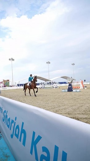 Mastering Horse Jumping Techniques