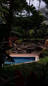 Quiet mornings in your tropical hideaway. Allow the sounds of paradise to gently awaken the spirits. #GrandWailea Footage by The Place I Was Telling You About | Grand Wailea Maui, A Waldorf Astoria Resort