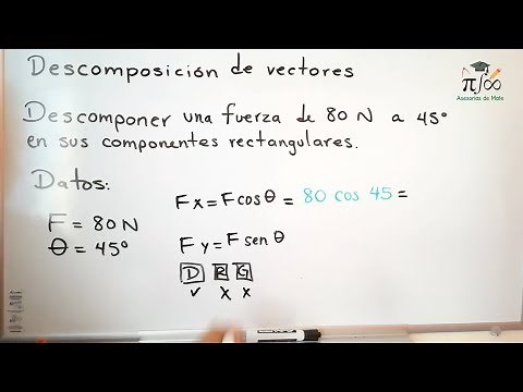 Descomposición de vectores | Teoría y ejercicio resuelto | Física