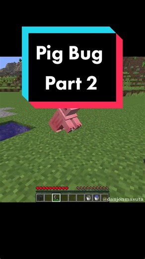 Minecraft Pig Spawn Bug Tutorial