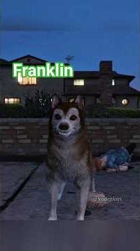 How Franklin can become a Husky dog In gta 5