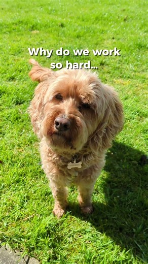 Can I ask you something…Why do most people work harder every year… but never feel any further ahead?