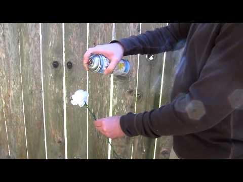 Spray Painting Flowers