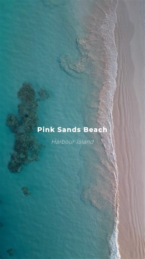This is Pink Sands Beach 🩷Located on Harbour Island 🇧🇸 #thebahamas #dreamdestinations #travel