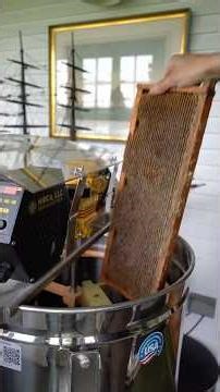 Do my bees ever go into the honey extractor? #beekeeper #bees #honey