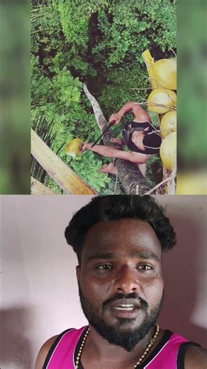 Dangerous Coconut Tree Climbing Skills 🥥​ #Life #Nature #Skills