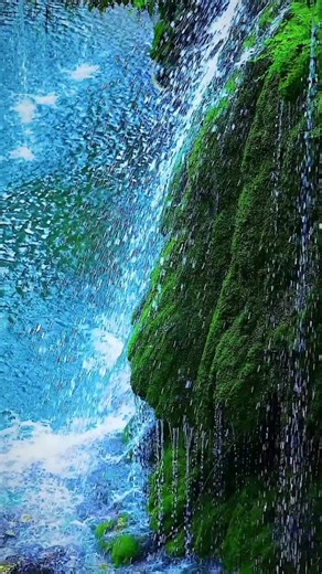 Ziba G (@ziba.gz)’s videos with original sound - Ziba G