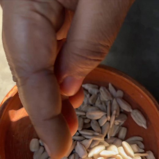 213K views · 3.2K reactions | ১৫ দিনের মধ্যেই চুল পড়া কমবে এবং নতুন চুল গজাবে গ্যারান্টি।No Sugar Energy Booster Ball।Hair Growth Ball | Appayan | Facebook