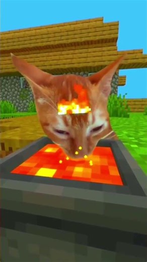Коты Майнкрафт (Cats Minecraft)