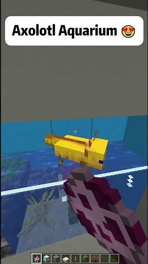 Minecraft Axolotl Aquarium 🥰 #minecraft