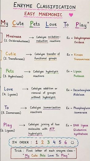 Easy Enzymes Mnemonic to remember