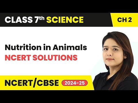 Nutrition in Animals - NCERT Solutions | Class 7 Science Chapter 2 | CBSE 2024-25