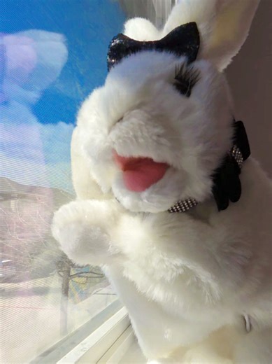 Im A Bad Bitch Bunny 🐰 💋🔥👠 #baddie #puppet #dancing #bunny #blowthisup