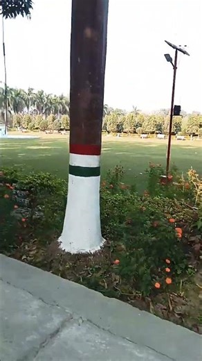 #gat gat pi java #sortvideo #