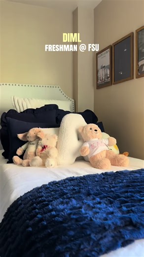 Diml as a freshman at fsu!! #thehousemaid #fyp #collegelife