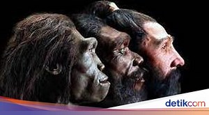 Mengulas Kehidupan Masyarakat Praaksara di Indonesia