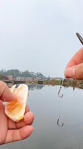 釣りが好きなら、このビデオが役に立ちます。釣り針を素早く結ぶ方法 #釣り #釣魚日常 #釣魚 #釣り動画 #釣道具 #fishing #fishingtips #fishingtools #釣り糸結び方 #釣り講座 #鱼饵 #fishingtime #fishingknot #釣り部 #palomarknot #tiktok