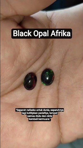 "The Most Beautiful Black Opal from Africa – Rare & Mesmerizing!"