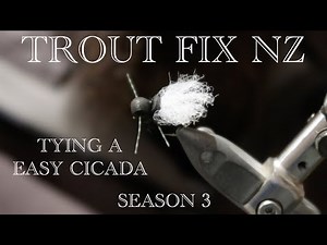 FRIDAY FLY DAY Fly Tying a EASY Cicada pattern