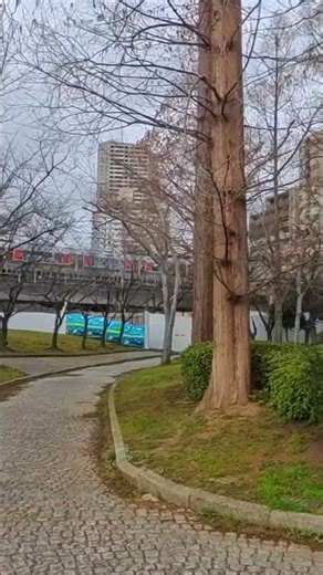 Osaka Train Crossing the River #Osaka train #Japan shorts #train crossing bridge