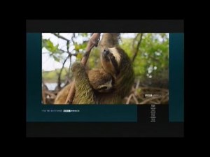 Robin Hood: Prince Of Thieves (1991) End Credits (BBC America 2020)