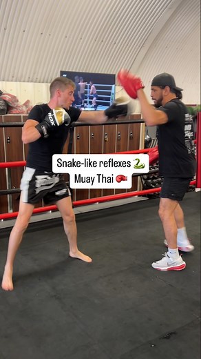 Ash Dykes | Snake-like reflexes 🐍 Upping the pace with @mma_den and covering all components: Speed ✔️ Agility ✔️ Awareness✔️ Reaction time ✔️ Balance... | Instagram