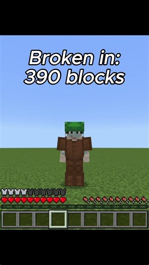 Minecraft The Power of a Turtle Helmet