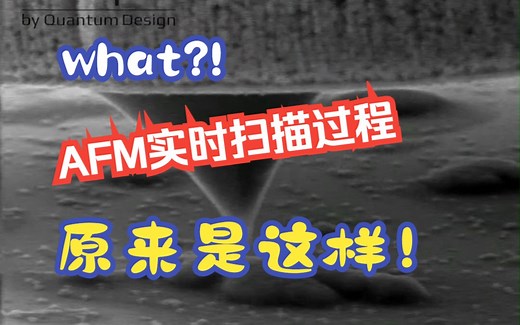 您是否观察过AFM针尖实时扫描样品动态过程？